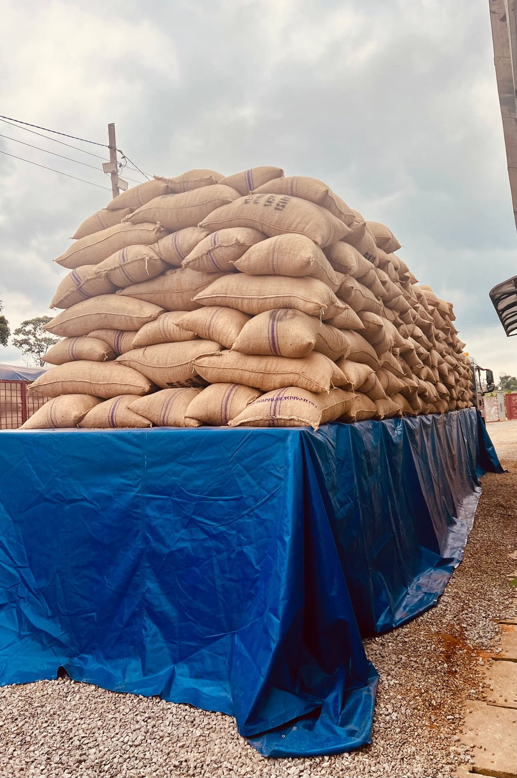 Fèves et matières premières de cacao à l'usine de Mbankomo